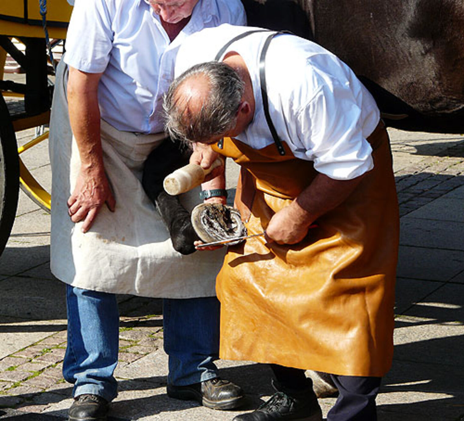 Schmiedetag 2009