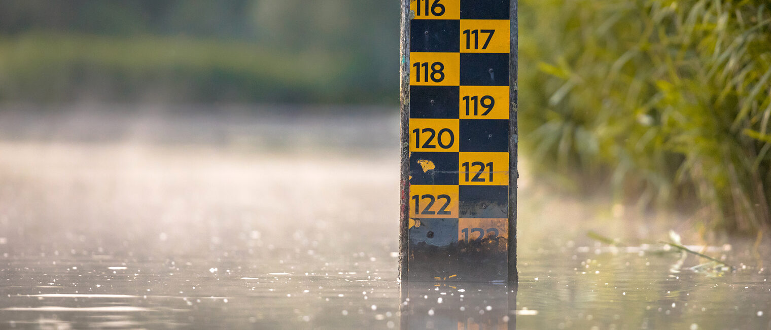 Hochwasser, Flut. Bild: