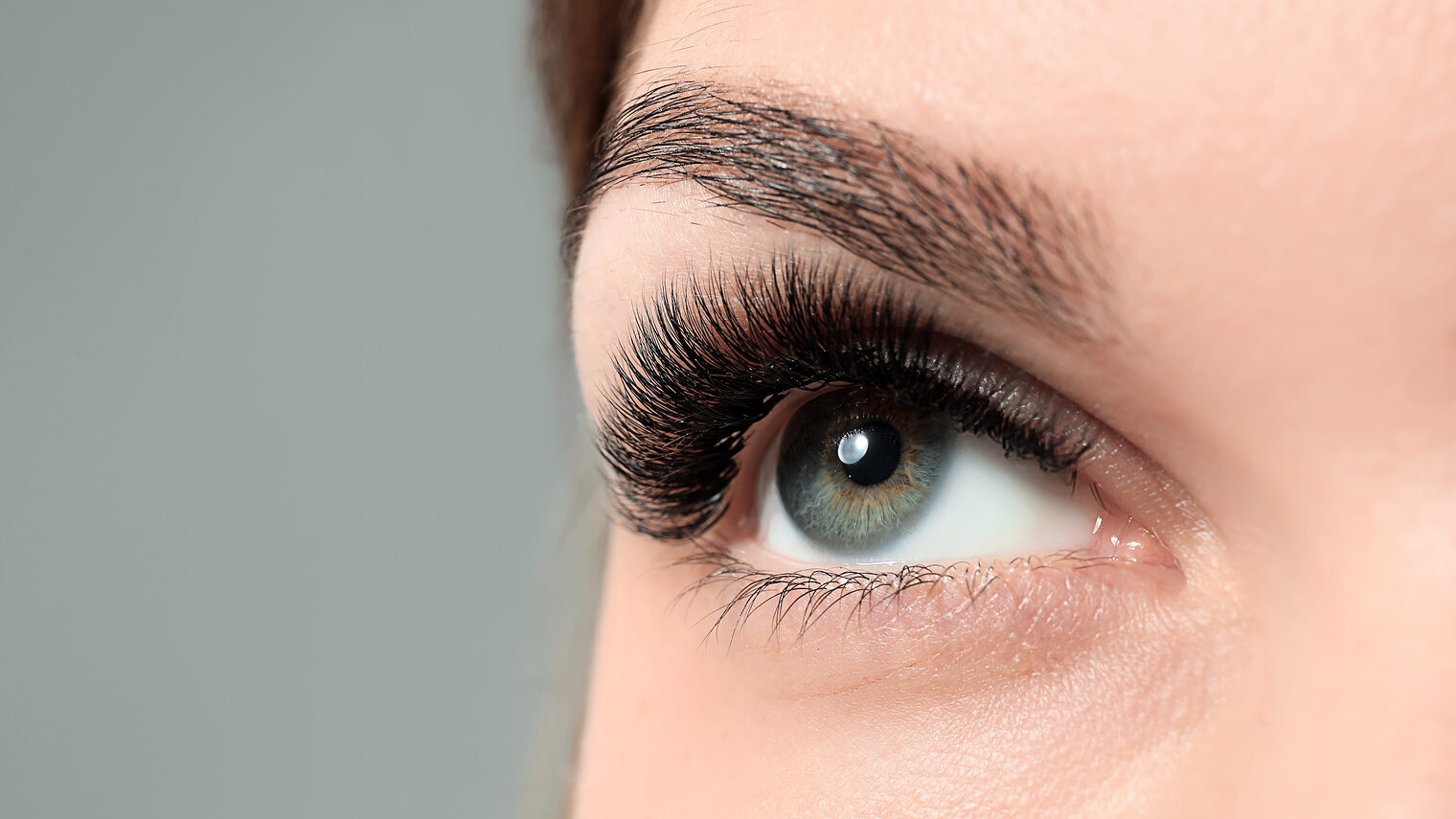 Lashes -Volumenschulung für Kosmetiker und Friseure. Bild: Pixel-Shot / stock.adobe.com