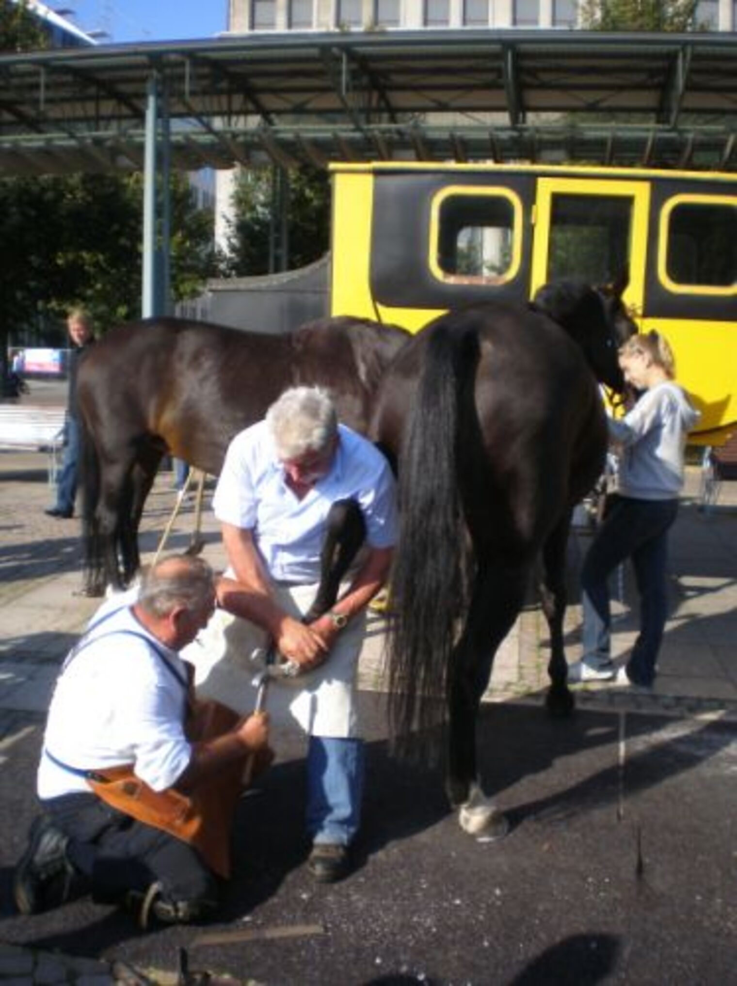 Foto: Konrad Riedel (Leipzig)