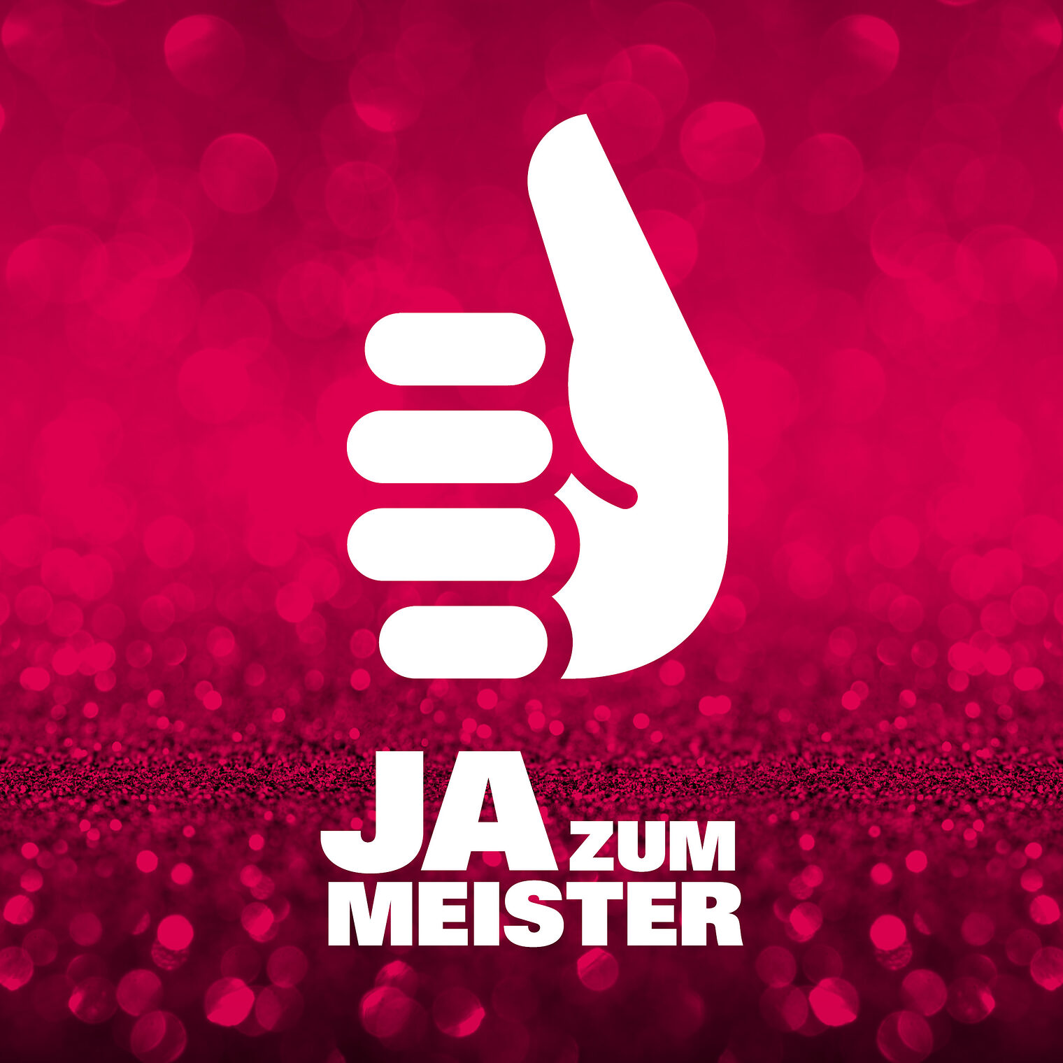 Meisterfeier und Verleihung »Silberne Meisterbriefe« 2024. Bild: Anika Dollmeyer / Rico Thumser 12
