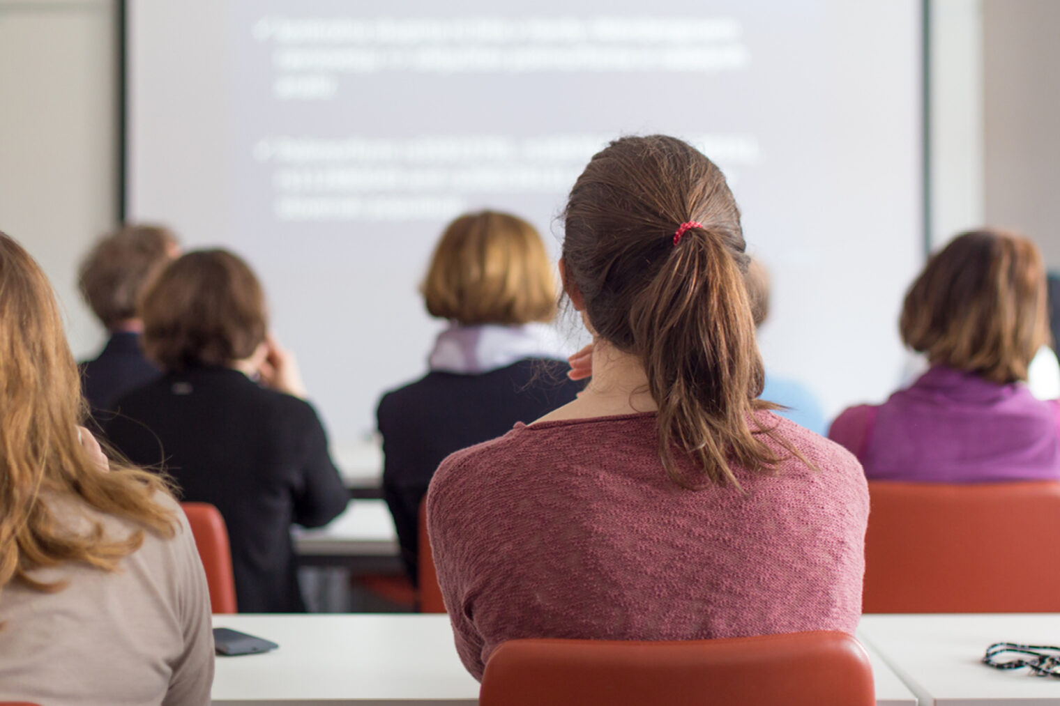 Eine Person betrachtet eine Beamerpräsentation in einem Seminarraum. Fortbildungssituation: Eine Gruppe von Personen sitzt in einem Seminarraum und schaut auf eine Beamerpräsentation.