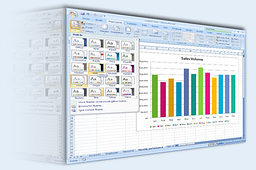MS Excel 2007