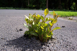 Durchbruch. Bild: pixelio.de - Jörg Jansen