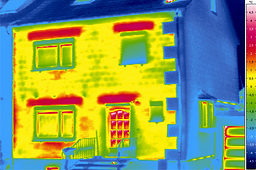 Thermografieaufnahme.