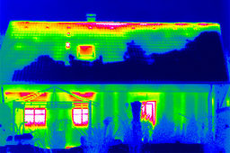 Thermografieaufnahme.