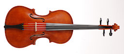 Viola da Salò von Gregor Hering