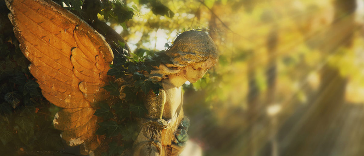 angel in the sunlight (antique statue) Schlagwort(e): sunlight, statue, angel, religion, hope, memories, cemetery, flowers, people, spirituality, concepts, colors, nature, memorial, tranquil, scene, symbols, romanticism, praying, tombstone, grave, life, locations, light, freedom, gold, art, sunbeam, no, natural, sunrise, culture, funeral, tree, travel, sun, silhouette