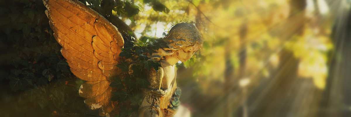 angel in the sunlight (antique statue) Schlagwort(e): sunlight, statue, angel, religion, hope, memories, cemetery, flowers, people, spirituality, concepts, colors, nature, memorial, tranquil, scene, symbols, romanticism, praying, tombstone, grave, life, locations, light, freedom, gold, art, sunbeam, no, natural, sunrise, culture, funeral, tree, travel, sun, silhouette