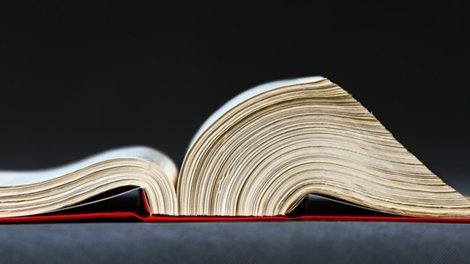 Rechtsanwalt, Anwalt, Buch, deutsche, Gesetze, Gesetzbuch, Verteidiger, Paragraphen, Verteidigung, Business, Beratung, Rechtsberatung, Frage, Jura, Paragraf, Paragrafendschungel, Recht, Justiz, Gericht, Verhandlung, Anklage, Klage, klagen, Kanzlei, Beistand, verklagen, beraten, Hilfe, Notar, legal, Gerechtigkeit, Straftat, Ordnungswidrigkeit, Büro, Kündigung, Familie, Strafrecht, Verkehrsrecht, Strafe, Strafverteidiger, Testament, BGB