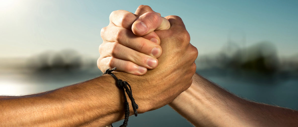 solidarität, freundschaft, freundschaftlich, hand, geben, versprechen, zusammenhalten, zusammenhalt, freunde, kumpel, männerfreundschaft, sommer, spaß, wasser, gemeinschaft, abmachung, handschlag, einschlagen, besiegeln, arm, beste, verbunden, verbindung, verbundenheit, vertrauen, männlich