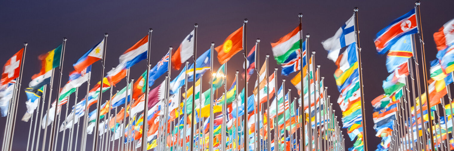 national flags of countries all over the world at night Schlagwort(e): flags, world, global, international, united, nations, national, country, night, sky, symbol, landmark, wind, banner, culture, blue, many, business, group, diplomacy, flying, uk, traditional, france, governments, meeting, patriotism, unity, usa, germany, russia, canada, organized, community, organization, finance, waving, celebration, blur, different, italy, expo, universal, exposition