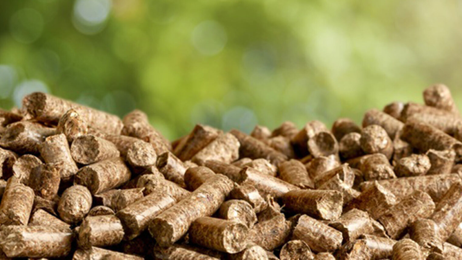 Biomass. Schlagwort(e): 6113, biomass, boilers, biofuel, pellet, wood, fuel, bio, stove, heating, 6113, biomass, boilers, biofuel, pellet, wood, fuel, bio, stove, heating, mass, woodchip, green, sawdust, wood chip, flaming, granule, natural, renewable energy, energy source, conservation, eco, power, central, recycling, power source, burn, environmentally friendly, biomass boiler, source, energy