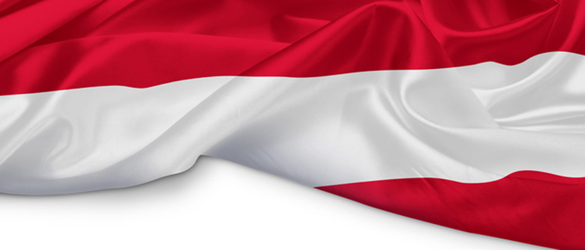 fahne, flagge, banner, sterreich, europa, land, kontinent, nationale, euro, symbol, hissen, wind, kruseln, wehen, regierung, staat, stoff, textur, wien, graz, salzburg, eu, weltmeisterschaft, fuball, oper, staatsoper, romantik, bodensee, alpen, urlaub, reisen, linz