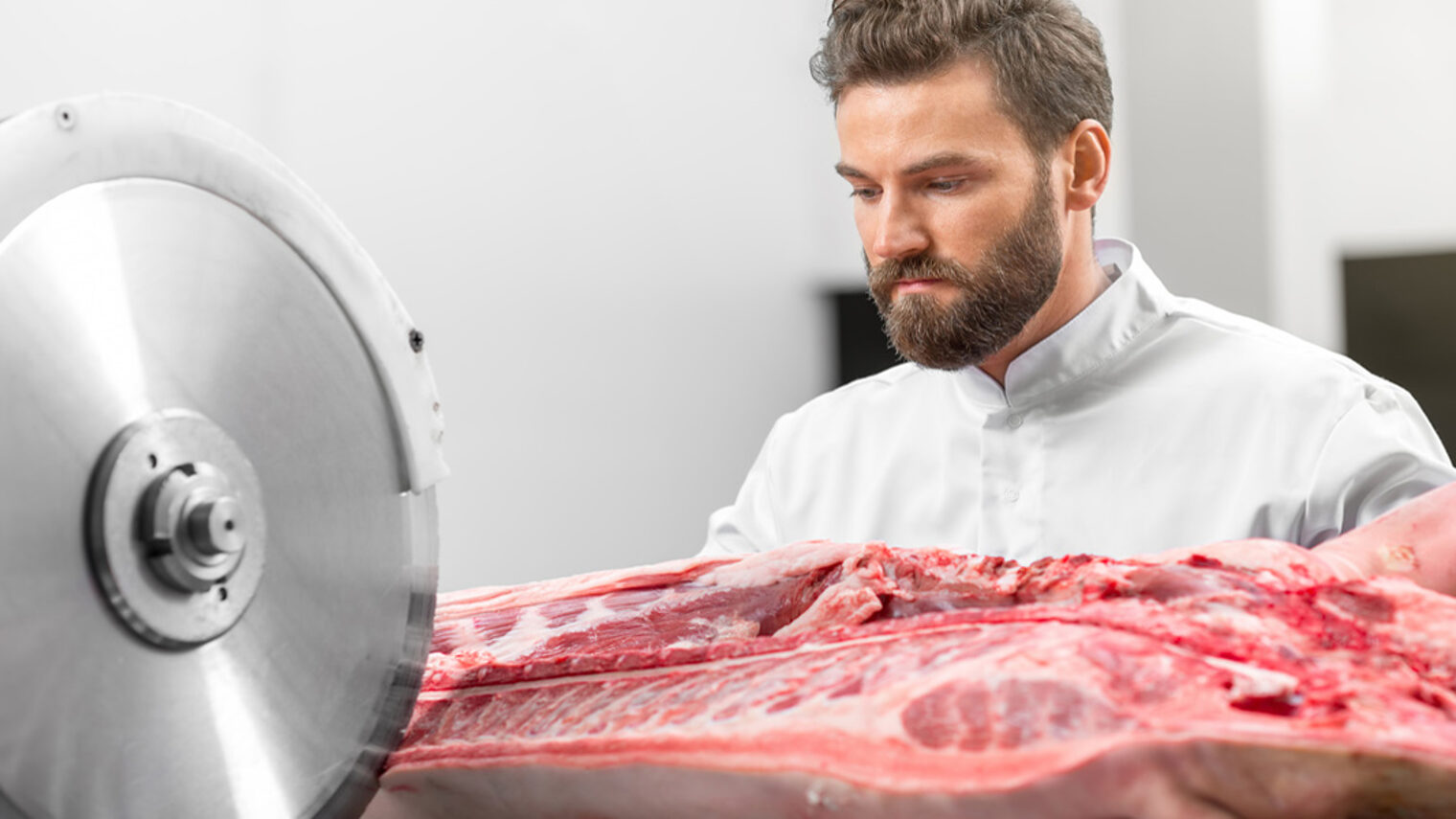 Handsome butcher cutting pork carcasse with big electric saw at the meat manufacturing Schlagwort(e): meat, butcher, big, saw, slicing, slicer, machine, raw, manufacture, pork, man, cutting, working, handsome, food, male, factory, carcass, butchery, work, manufacturing, ripper, cut, portrait, worker, industry, person, model, people, fresh, red, shop, freshness, store, market, white, caucasian, bearded, processing, industrial, adult, uniform, pig, occupation, profession, production, bandsaw, equipment