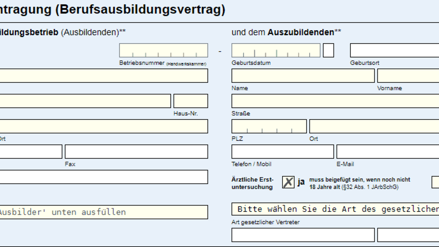 Screenshot "Lehrvertrag online"