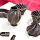 "mitteldeutsche handwerksmesse" vom 23. Februar bis 3. März 2019 | 5