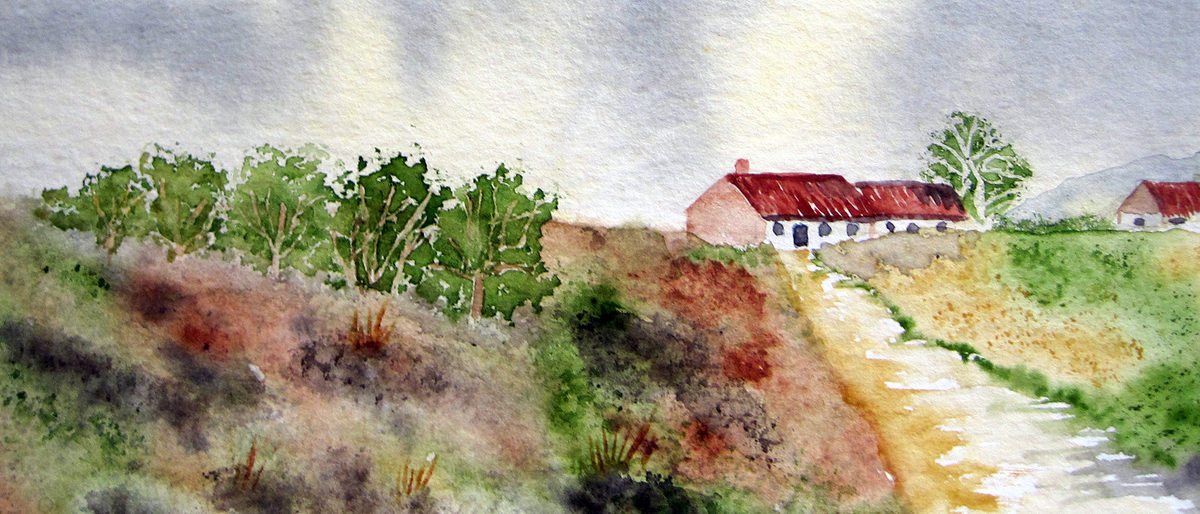 Birken, Mohn und Schneekristalle