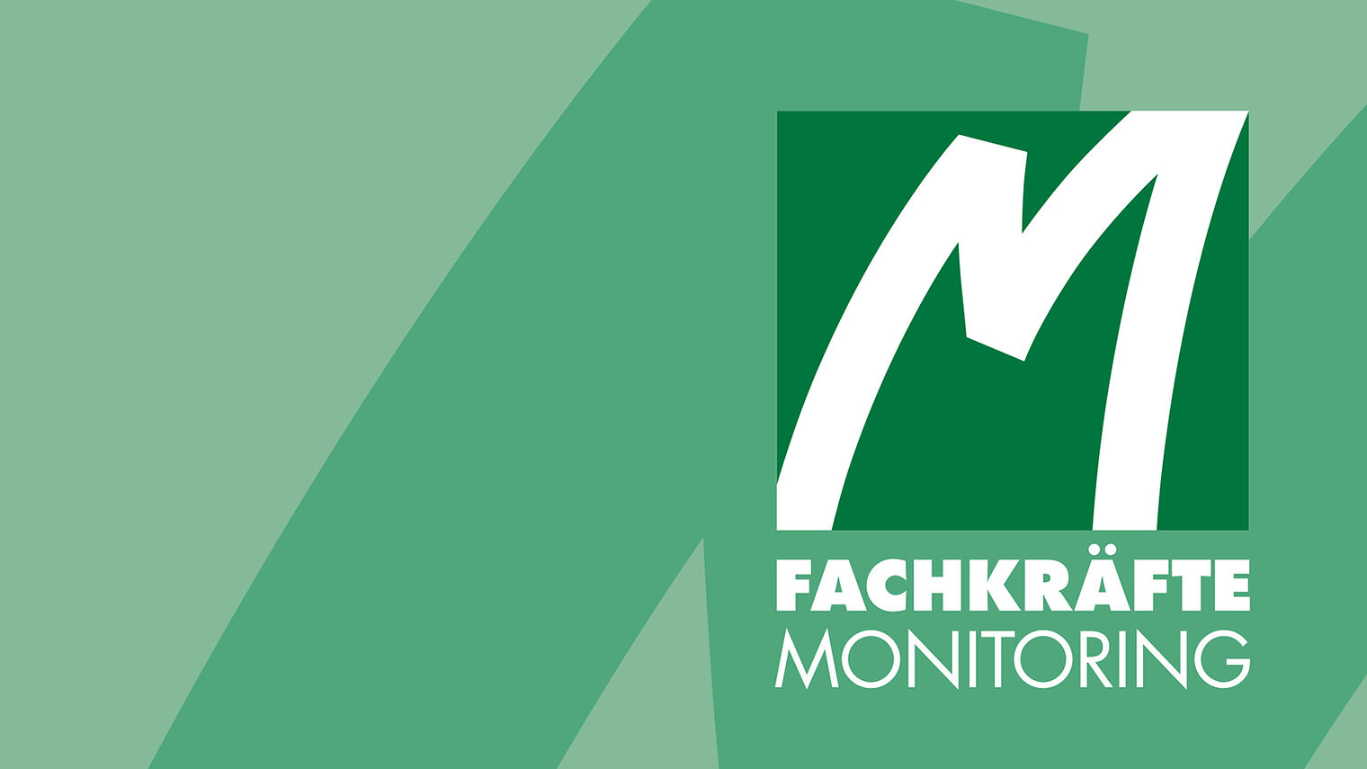 Fachkräftemonitoring: Fachkräftebedarf der sächsischen Wirtschaft 2010