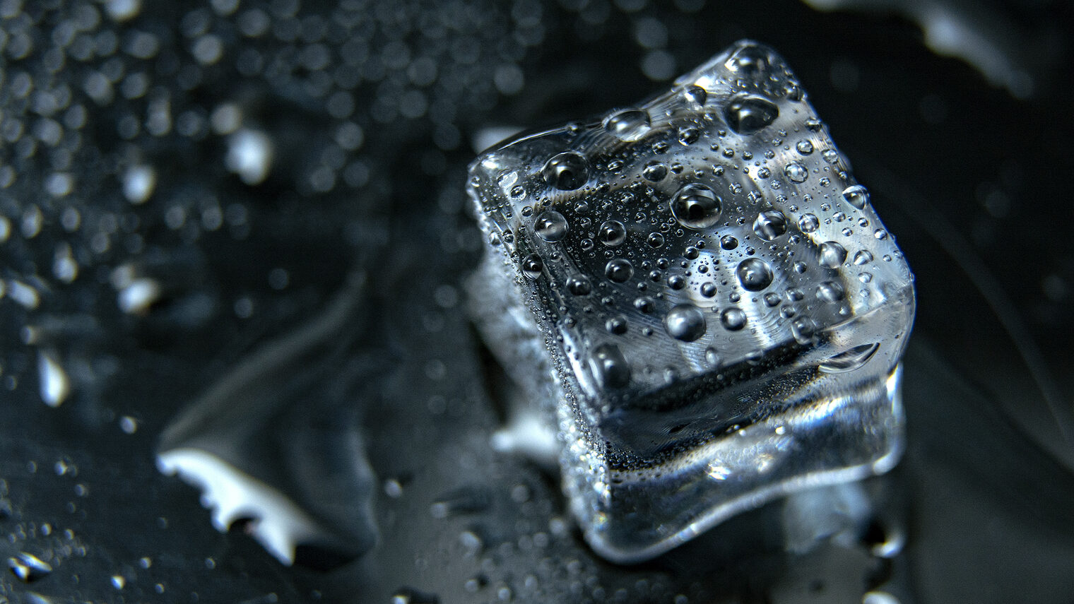 Close up Cubes of ice on black background / melting ice cube Schlagwort(e): ice, cube, drink, clear, light, translucent, cold, refrigerate, solid, reflection, bar, freeze, pile, texture, cool, fresh, white, frost, square, studio, clean, crystal, different, freshness, macro, space, stack, isolated, glass, design, abstract, your, beautiful, blocks, bright, crushed, ice-cube, monochrome, path, refresh, small, close-up, copy, bubble